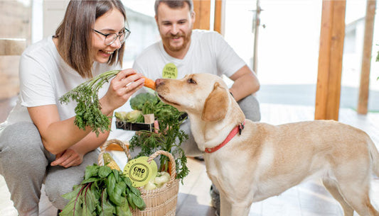 Do Dogs need Meat?