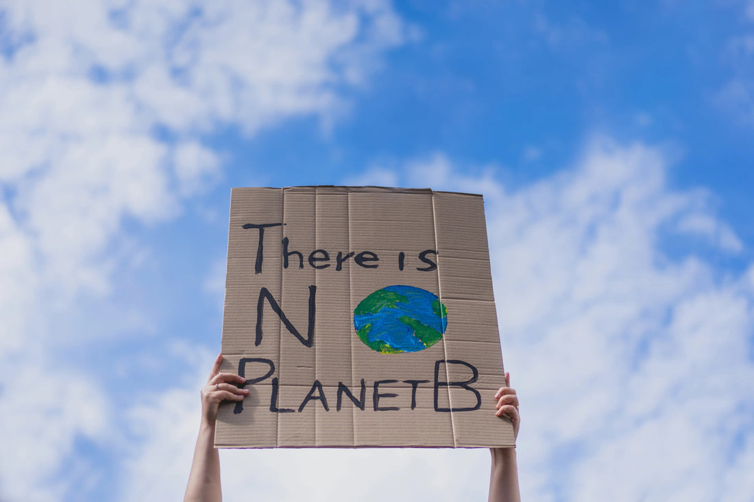 How Our Environmentally Friendly Dog Food Is Doing Our Bit For Climate Change