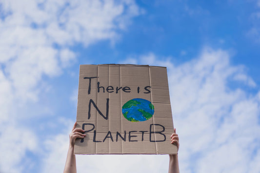How Our Environmentally Friendly Dog Food Is Doing Our Bit For Climate Change